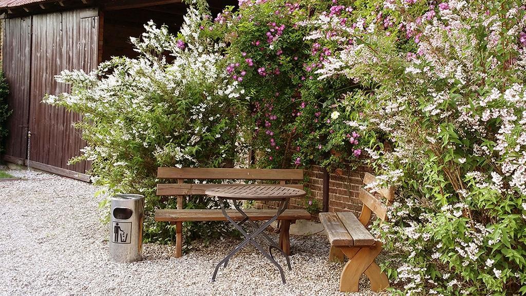 Hotel Nordic Spreewald Люббенау Экстерьер фото